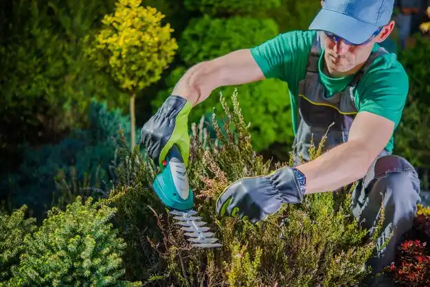 landscaping services Boston Heights